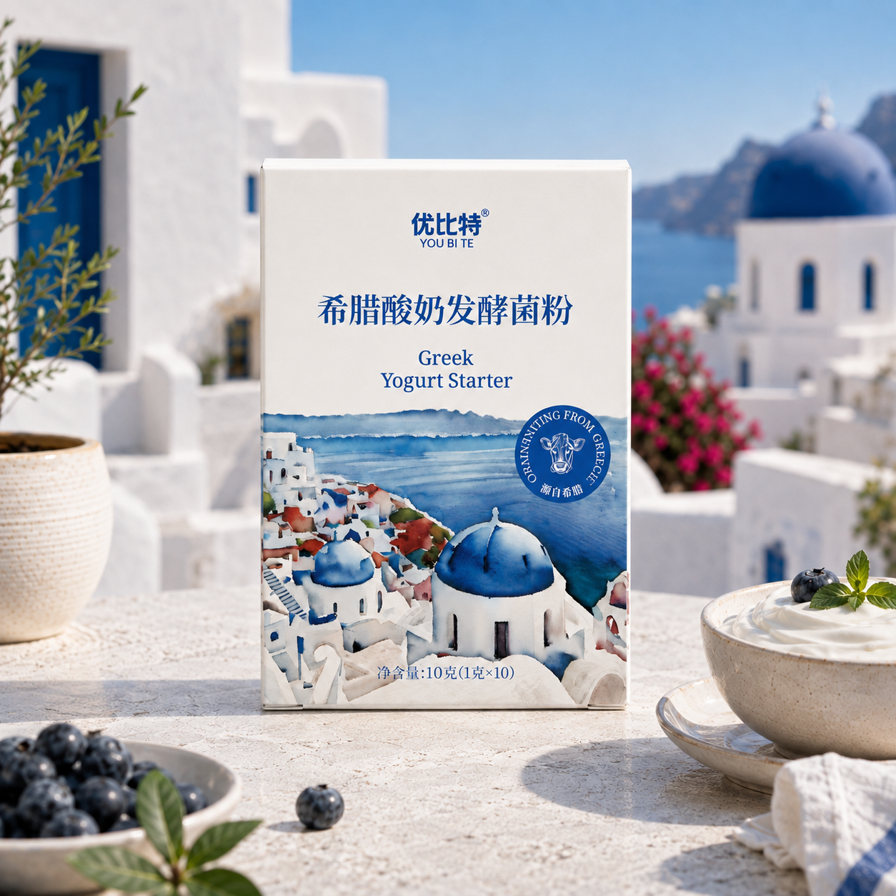希腊酸奶发酵菌海报